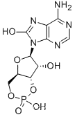 Molecular Structure of 31356-95-3 (7,8-DIHYDRO-8-OXOADENOSINE-3':5'-CYCLIC MONOPHOSPHATE)